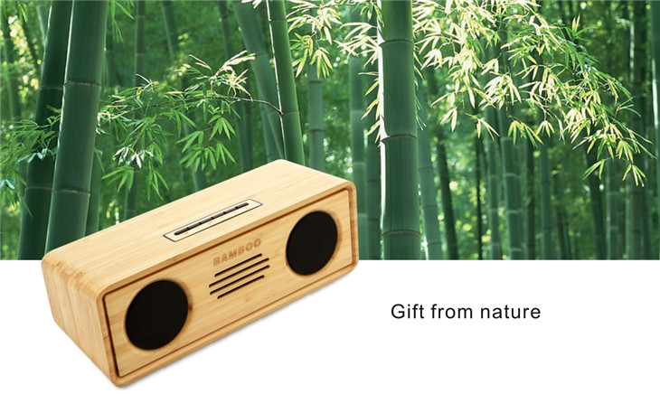 bluetooth speaker2