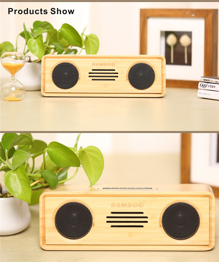 bluetooth speaker6